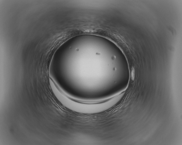 X0000113131444200909181700