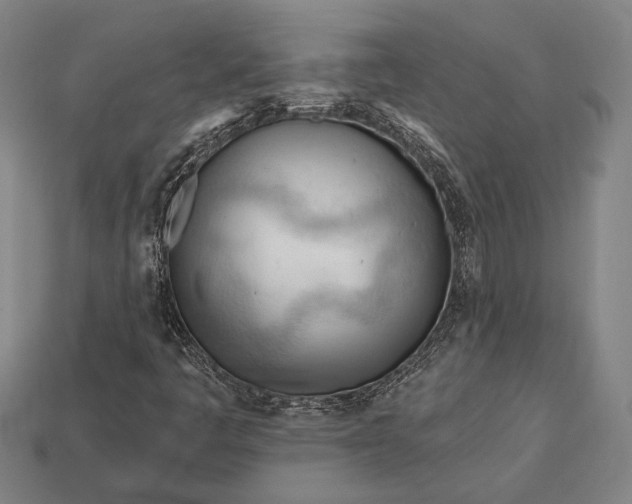 X0000113131445200909181700