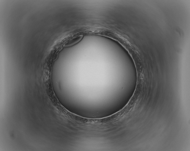 X0000113131447200909181700