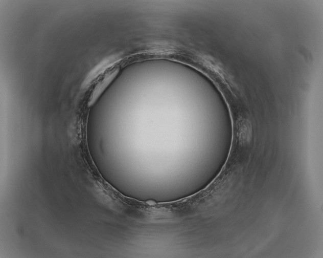 X0000113131448200909181700