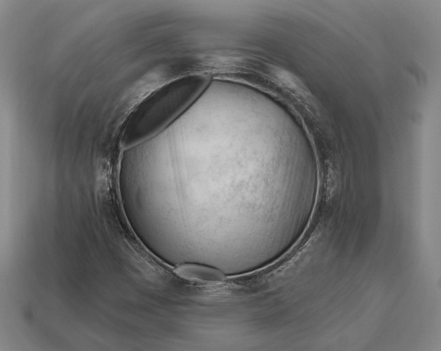 X0000113131449200909181700