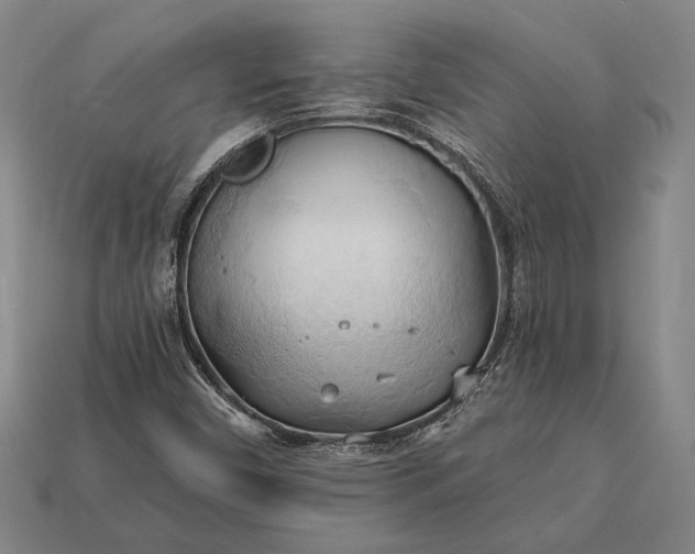 X0000113131450200909181700