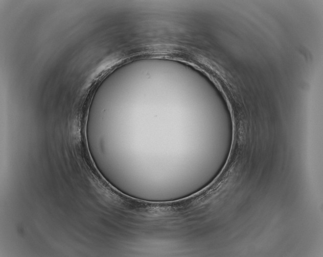 X0000113131451200909181700