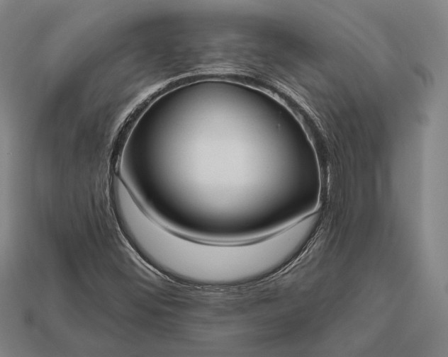 X0000113131452200909181659