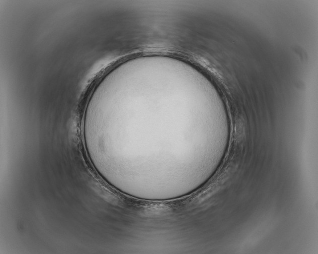 X0000113131454200909181659