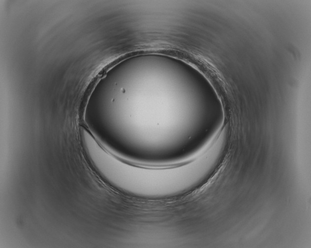 X0000113131457200909181659