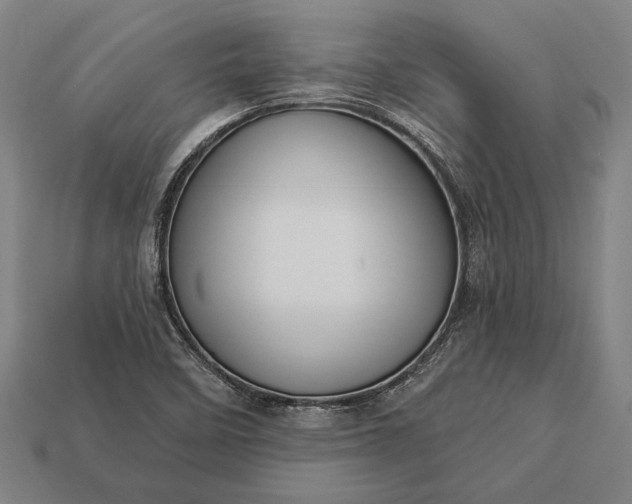 X0000113131458200909181659