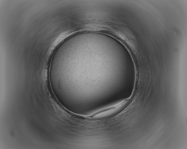 X0000113131459200909181659