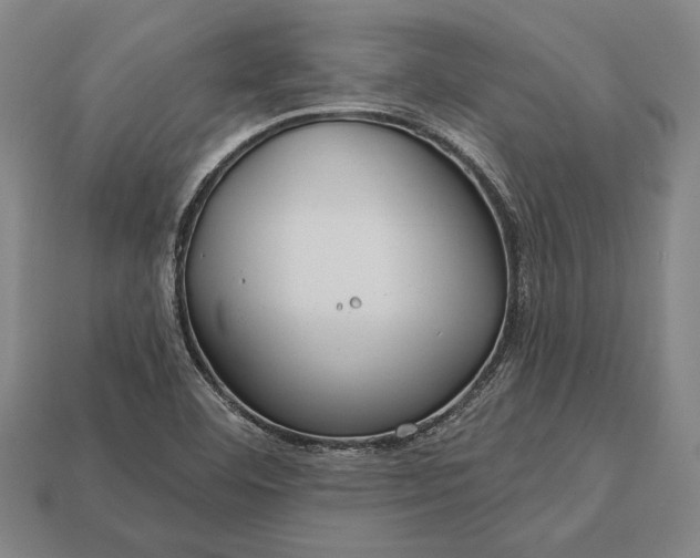 X0000113131460200909181659