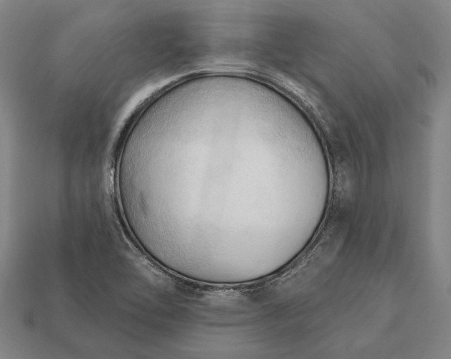 X0000113131462200909181659