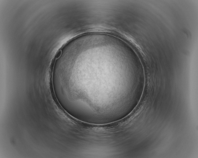 X0000113131463200909181659