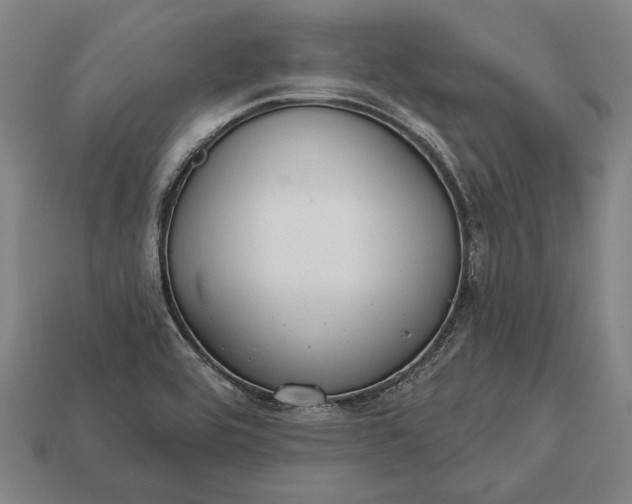 X0000113131464200909181659