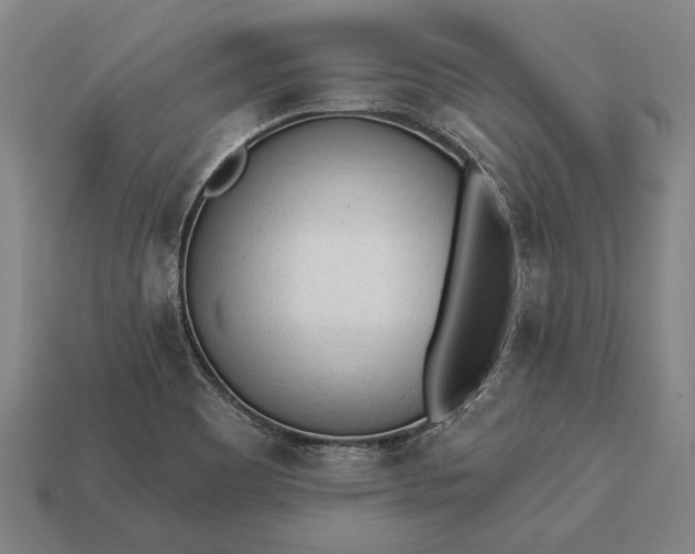 X0000113131465200909181659