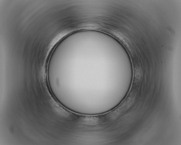 X0000113131466200909181659