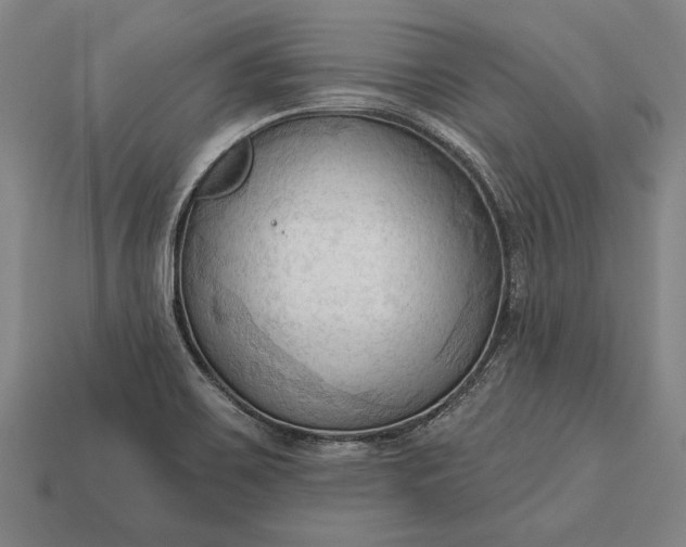 X0000113131467200909181659