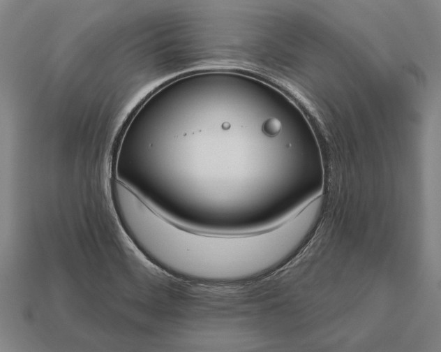 X0000113131468200909181659