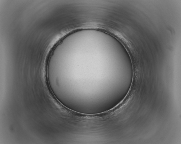 X0000113131469200909181659