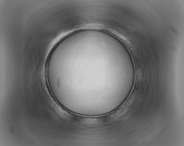 X0000113131470200909181659