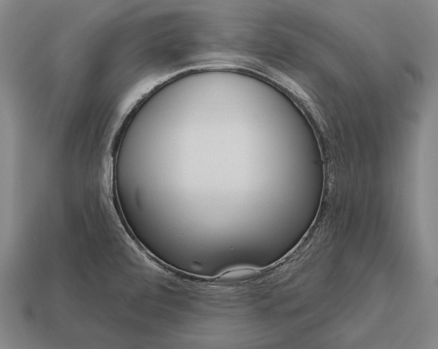 X0000113131472200909181659