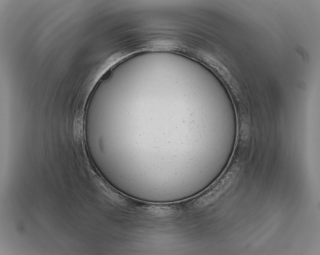 X0000113131473200909181659