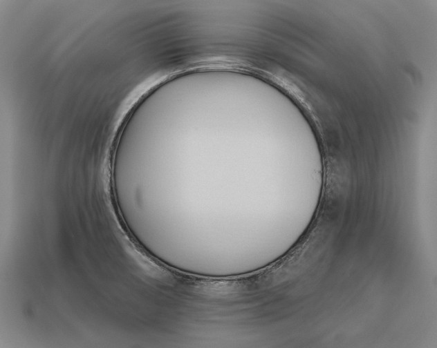 X0000113131474200909181659