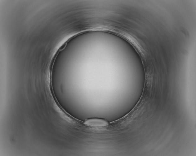 X0000113131476200909181659