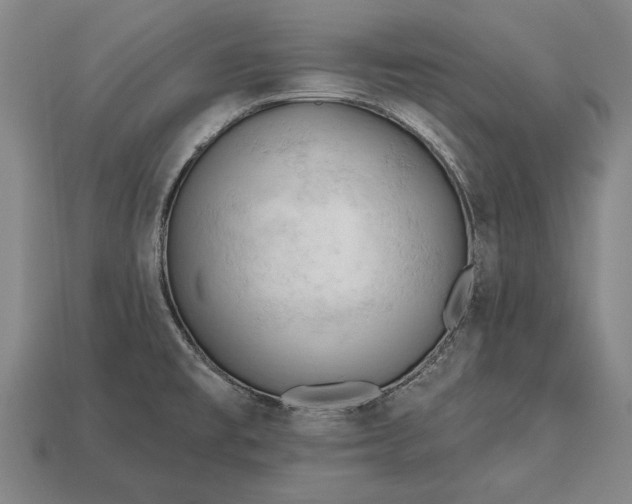 X0000113131477200909181659