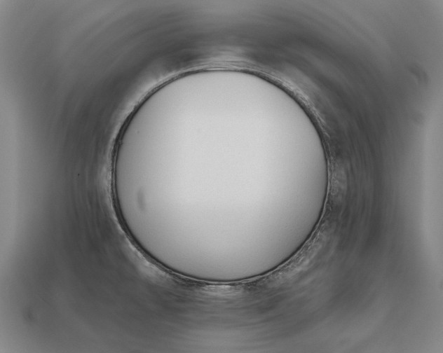 X0000113131478200909181659