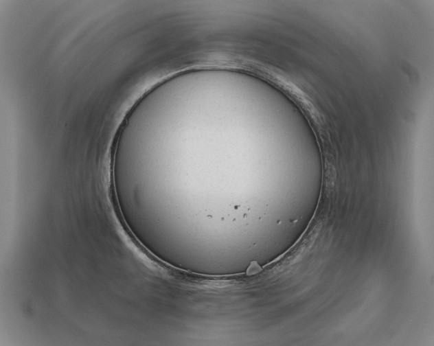 X0000113131479200909181659