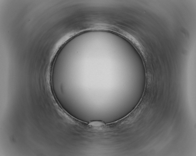 X0000113131480200909181659