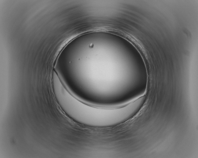 X0000113131481200909181659