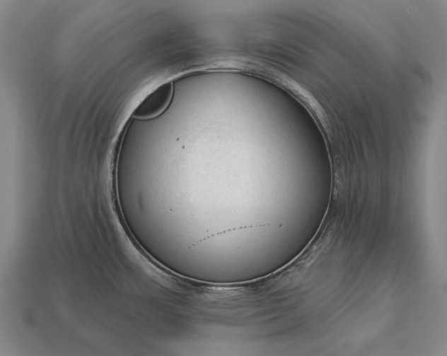 X0000113131483200909181659