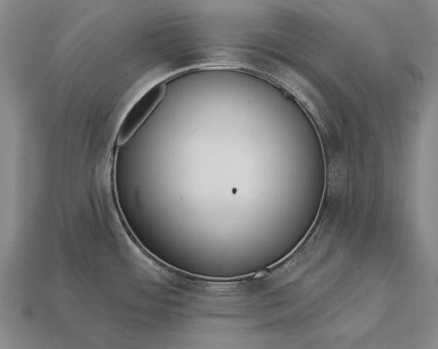 X0000113131484200909181659