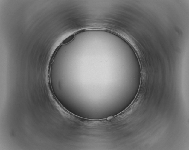 X0000113131485200909181659