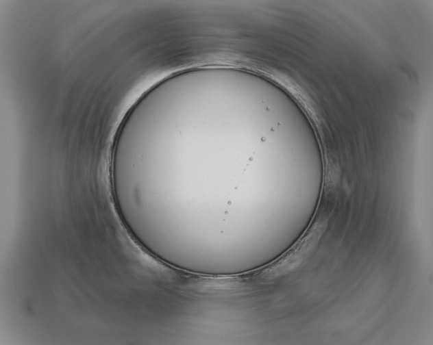 X0000113131486200909181659