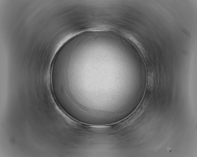 X0000113131487200909181659