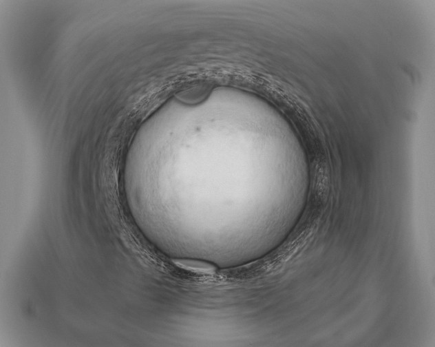 X0000113131489200909181658