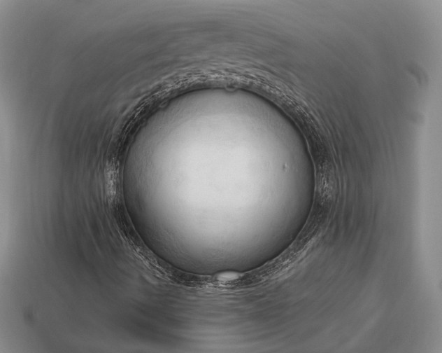 X0000113131490200909181658