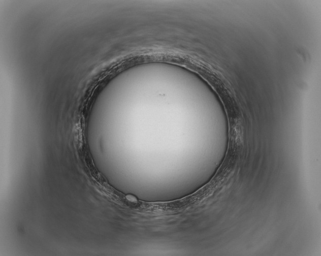 X0000113131493200909181658