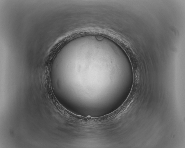 X0000113131494200909181658