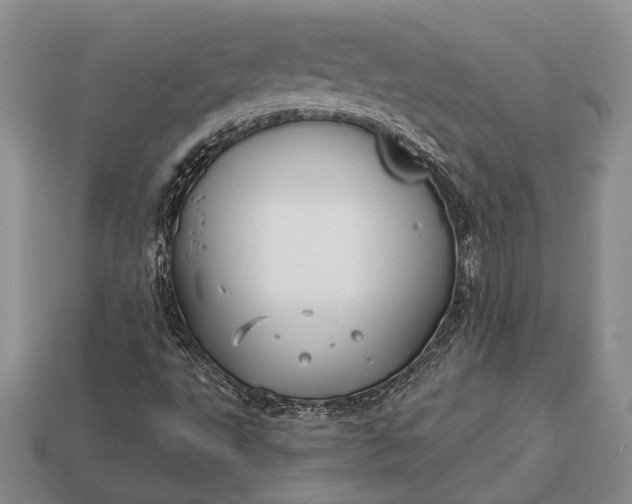 X0000113131495200909181658