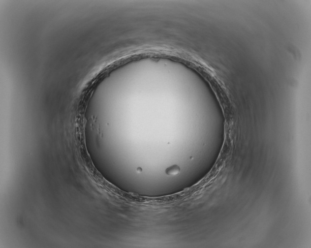 X0000113131496200909181658