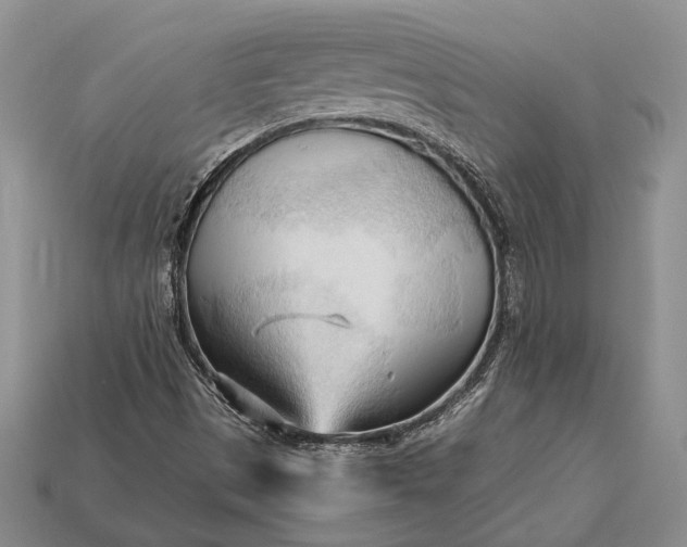 X0000113131497200909181658