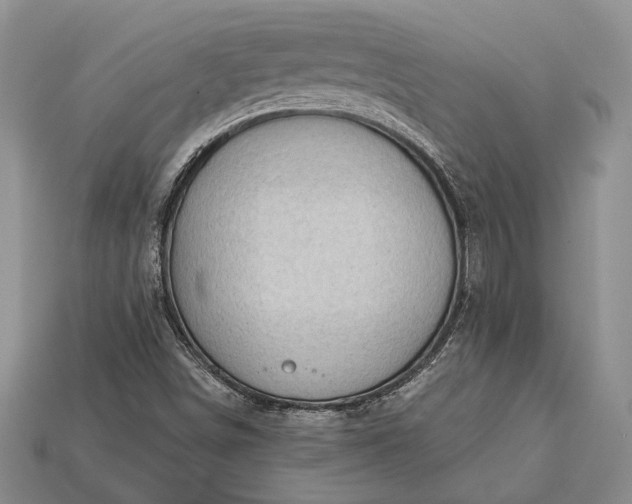 X0000113131498200909181658