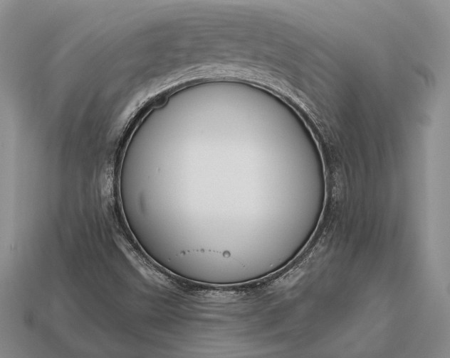 X0000113131499200909181658