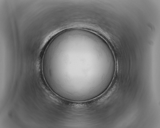 X0000113131501200909181658