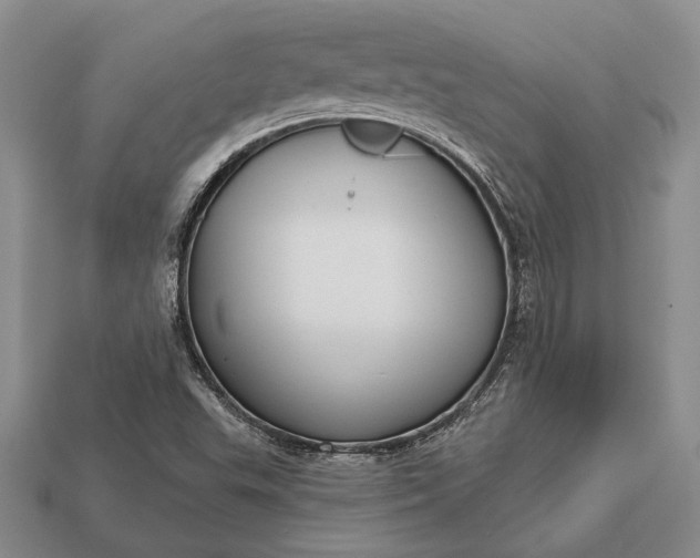 X0000113131503200909181658