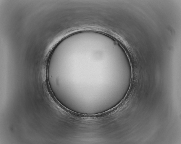 X0000113131504200909181658