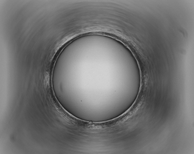 X0000113131505200909181658