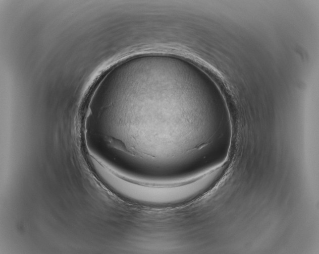 X0000113131506200909181658